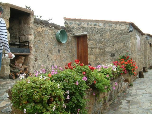Casa Rural El Drago Guest House Moya  Ngoại thất bức ảnh